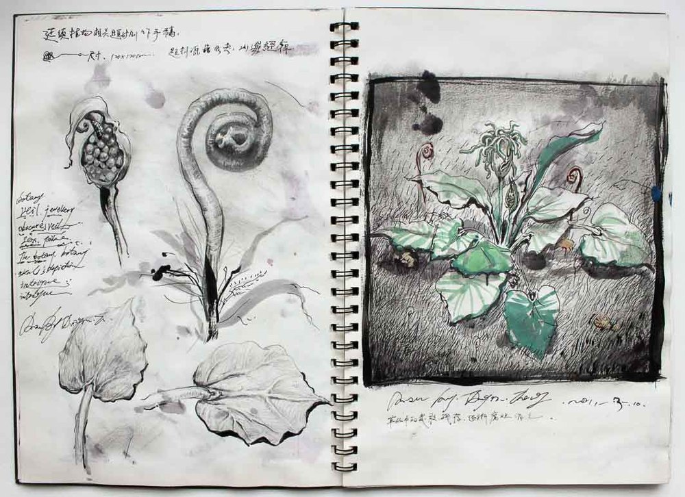 Private Botany Codex 38x27cm since2009-4.jpg