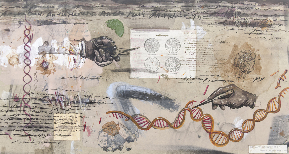 私人生物学NO.6   纸本丙烯  综合媒介 78x42cm